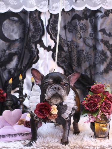 20231007さつきちゃん